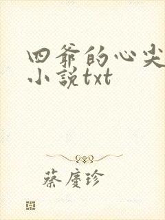 四爷的心尖宠妃小说txt
