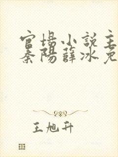 官场小说主人公秦阳薛冰免费阅读封面