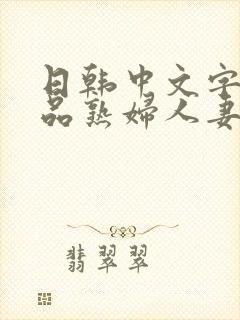 日韩中文字幕精品熟妇人妻