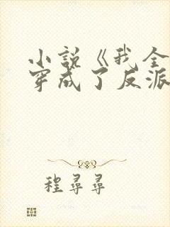小说《我全家都穿成了反派》