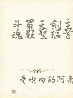 斗罗天剑主宰武魂殿圣枢首席