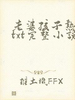 老婆孩子热炕头txt完整小说封面