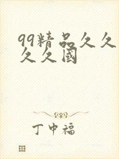 99精品久久久久久国