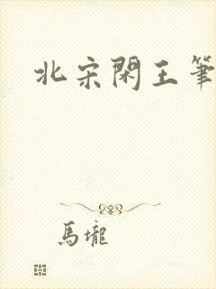 北宋闲王笔趣阁
