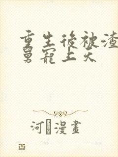 重生后被渣男舅舅宠上天