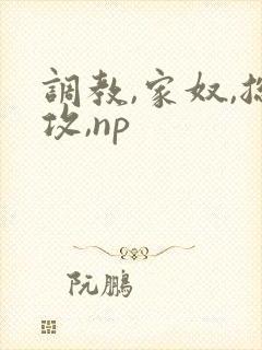 调教,家奴,总攻,np