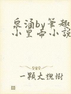 泉涌by笔趣阁小皇帝小说网封面
