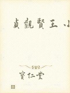贞观贤王 小说