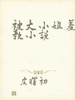 被大小姐羞耻调教小说