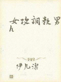 女攻调教男受高h