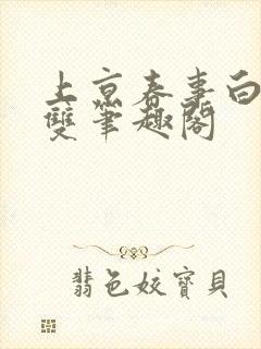 上京春事白鹭成双笔趣阁