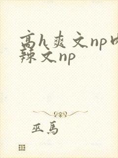 高h爽文np肉辣文np