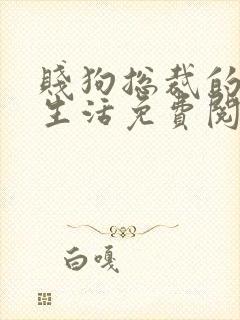 贱狗总裁的日常生活免费阅读