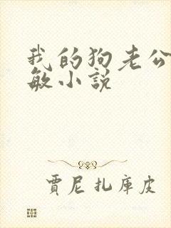 我的狗老公李淑敏小说封面