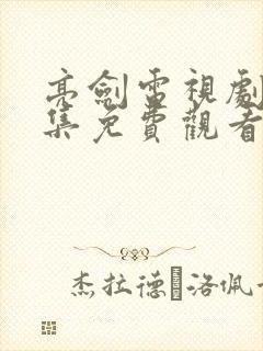 亮剑电视剧40集免费观看完整版新
