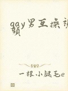 gay男互操视频