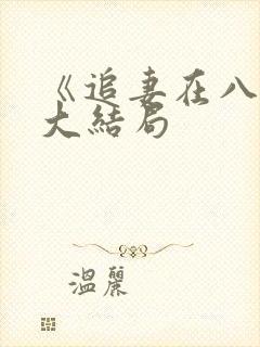 《追妻在八零》大结局