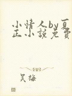 小情人by夏小正小说免费阅读