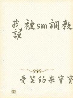 我被sm调教小说
