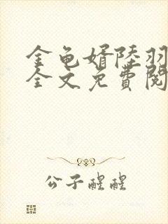 金龟婿陆羽小说全文免费阅读