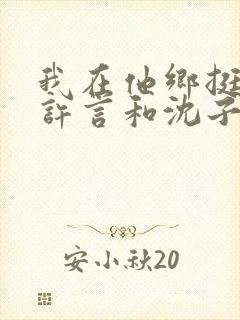 我在他乡挺好的许言和沈子畅结局