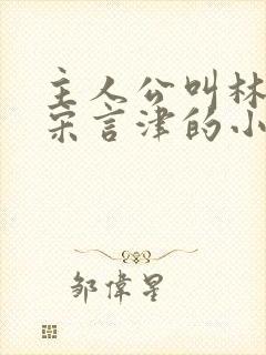 主人公叫林清妍宋言津的小说