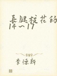 长腿校花的呻吟14～17
