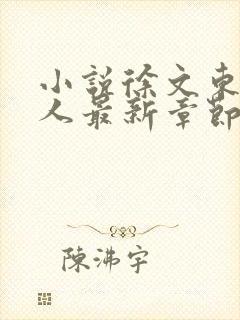 小说徐文东林伊人最新章节阅读全文