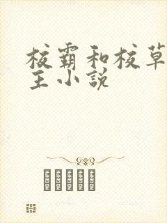 校霸和校草双男主小说