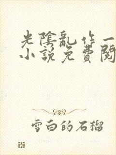 光阴乱作一团的小说免费阅读