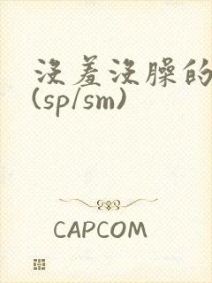 没羞没臊的调教(sp/sm)封面