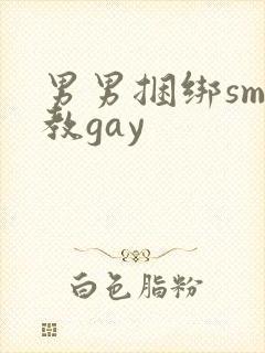 男男捆绑sm调教gay封面