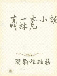 有一本小说主角叫林凡封面