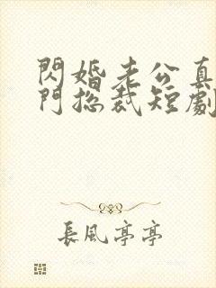 闪婚老公真是豪门总裁短剧免费观看