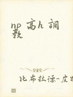 np 高h 调教
