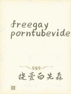 freegayporntubevideos封面