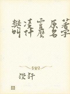 樊凌霄原著小说叫什么名字封面