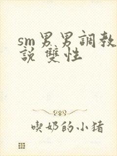 sm男男调教小说 双性