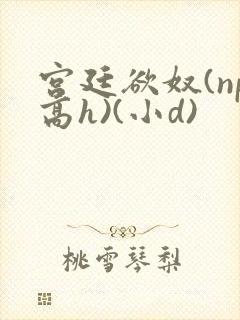 宫廷欲奴(np高h)(小d)
