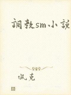 调教sm小说h