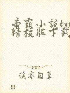 帝霸小说txt精校版下载