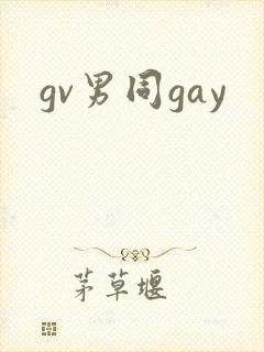 gv男同gay