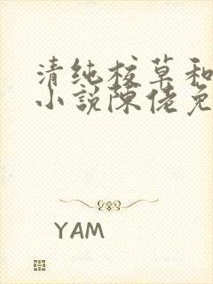 清纯校草和工人小说陈佬免费阅读