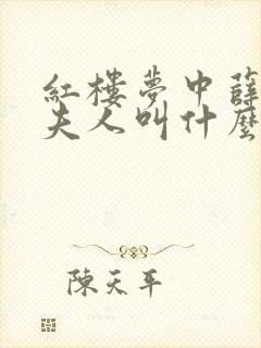 红楼梦中薛蟠的夫人叫什么