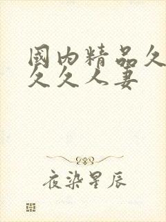 国内精品久久久久久人妻