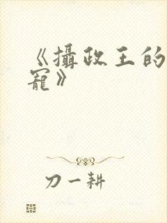 《摄政王的心尖宠》
