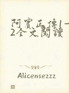 阿宾正传1—72全文阅读