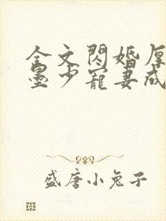 全文闪婚厚爱:墨少宠妻成瘾