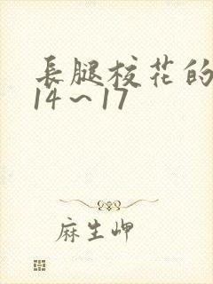 长腿校花的呻吟14～17封面