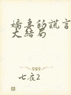 娇妻的谎言张立大结局封面